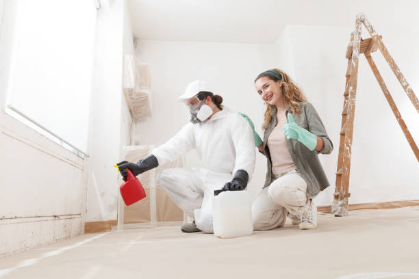 Professional Mold Removal in Camden, NJ